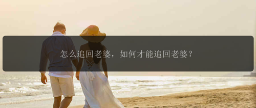 怎么追回老婆，如何才能追回老婆？