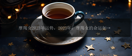 摩羯女2023年运势，2023年，摩羯女的命运如何？