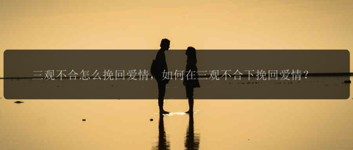 三观不合怎么挽回爱情，如何在三观不合下挽回爱情？