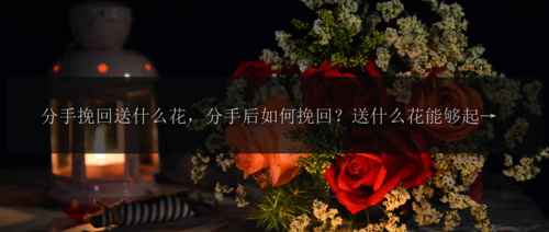 分手挽回送什么花，分手后如何挽回？送什么花能够起到效果？