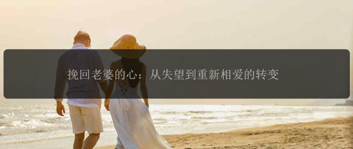 挽回老婆的心:从失望到重新相爱的转变