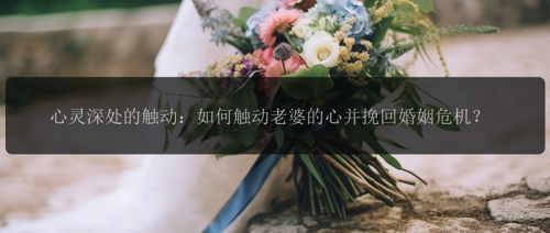 心灵深处的触动:如何触动老婆的心并挽回婚姻危机?