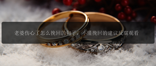 老婆伤心了怎么挽回的句子，不懂挽回的建议反腐观看