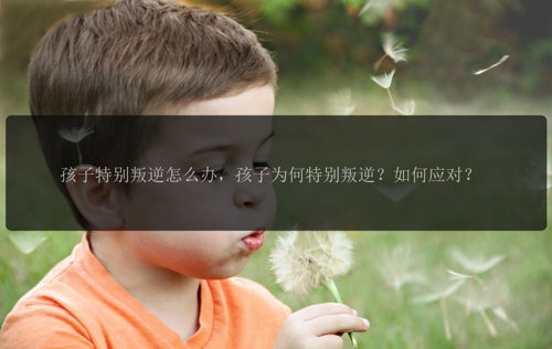 孩子特别叛逆怎么办，孩子为何特别叛逆？如何应对？