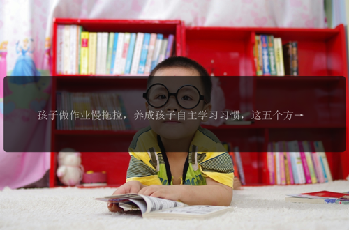 孩子做作业慢拖拉，养成孩子自主学习习惯，这五个方法试一试