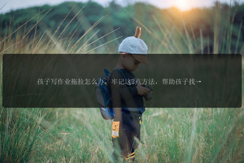 孩子写作业拖拉怎么办,牢记这3点方法,帮助孩子找回学习的乐趣与成就感!