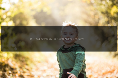 孩子作业拖拉原因，家长这样做让孩子更专注！